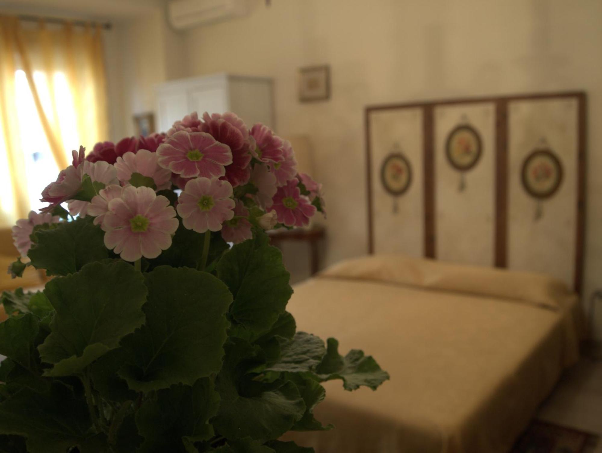 B&B All'Ombra Di San Pietro, Rome
